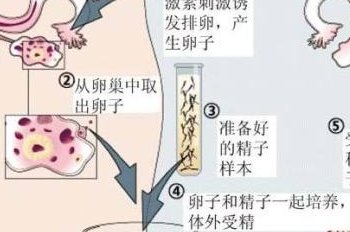 长沙比较好的助孕机构都有哪家